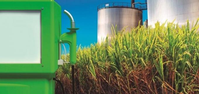 Las cámaras que reúnen a las productoras de biocombustibles piden la prórroga de la Ley 26.093