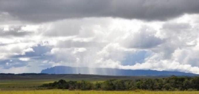 La soja temprana se salvó gracias a las ultimas lluvias