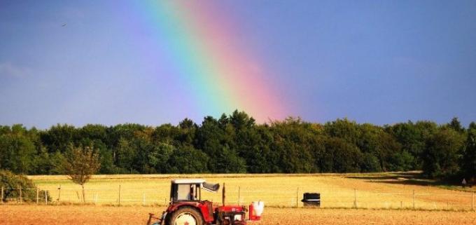 Inversiones rentables en el sector agropecuario