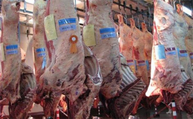 Tras los dichos de Fernández: ¿qué carne exporta la Argentina?