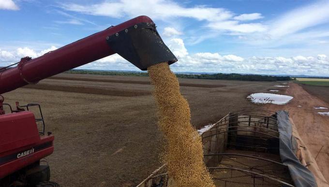 Los 4 datos que aseguran que el campo no es un formador de precios: “Gestionamos costos”