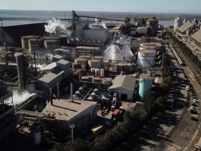 La propuesta para una "nueva Vicentin" sumó el apoyo del Banco Nación: qué dice la iniciativa de acreedores