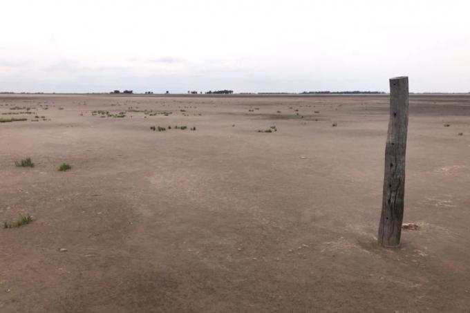 “Están secas”: el lugar donde el 70% de las lagunas se quedaron sin agua