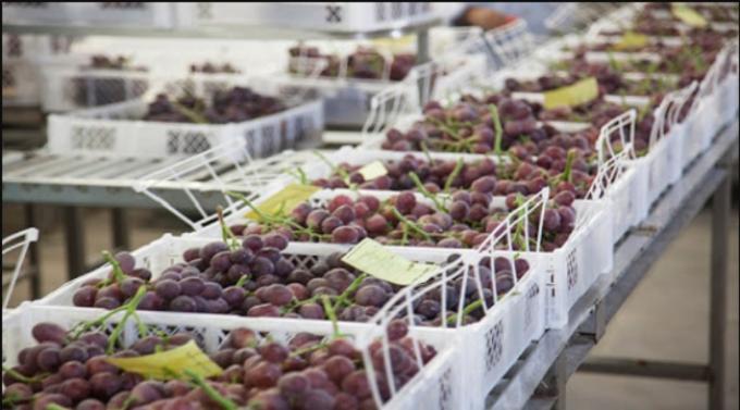 Destraban exportaciones a Brasil por u$s1.000 millones
