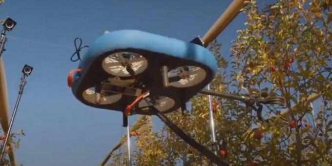 ¿Una solución de largo plazo al problema de la mano de obra? Presentaron en Israel unos robots voladores que cosechan fruta.