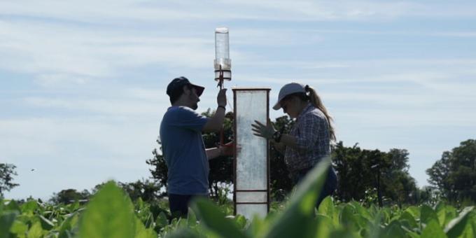 ¿Cómo es la investigación agrícola en la Argentina? Tiene buen nivel, pero estudia cosas distintas de las que demandan los productores
