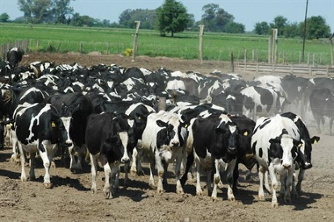 Federación Agraria pide la ampliación del fondo de Emergencia Agropecuaria