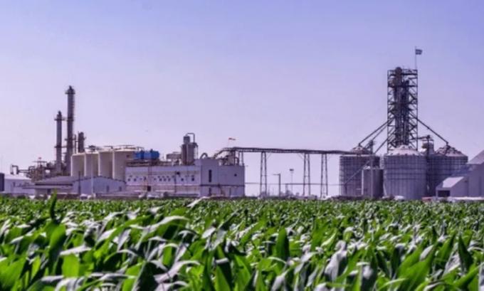 Biocombustibles: este martes se espera anuncio oficial sobre nueva ley