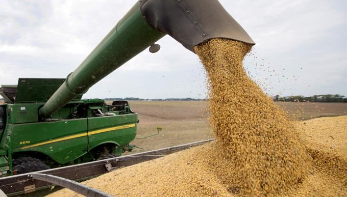 Precio de soja, trigo y maíz: los factores que definen la tendencia y una recomendación de comercialización.