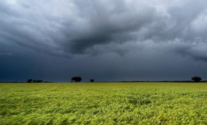 Alertan que habría consecuencias para el maíz y la soja si siguen las lluvias en zona núcleo
