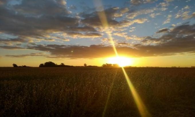 Marzo se despide con jornadas estables y temperaturas en aumento