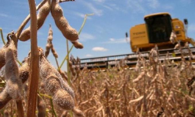 Avance impresionante: Brasil se puso al día con la cosecha de soja