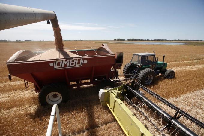 Financiamiento: qué puede hacer el agro ante la exclusión en un beneficio