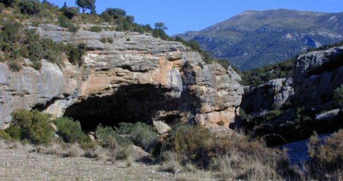Los ganaderos del Neolítico ya modificaban los ciclos de reproducción de las ovejas.
