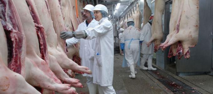 Las exportaciones argentinas de carne de cerdo podrían alcanzar las 50.000 T