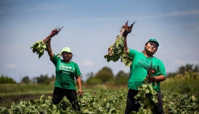 El gobierno argentino quiere implementar este año el “Banco de Tierras para la Agricultura Familiar”