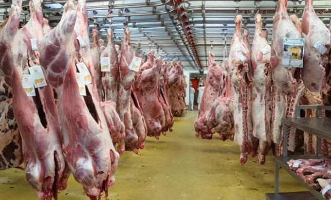 Con la firma de Basterra y Kulfas, crean las DJEC para controlar la exportación de carne