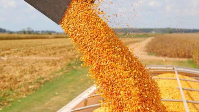 Déjennos producir para ayudar a la Argentina