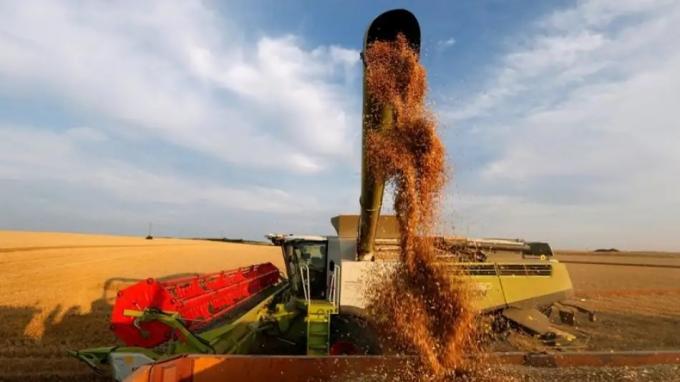 El súper precio de la soja y lo que queda en el camino: por qué "vale" la mitad que en Uruguay