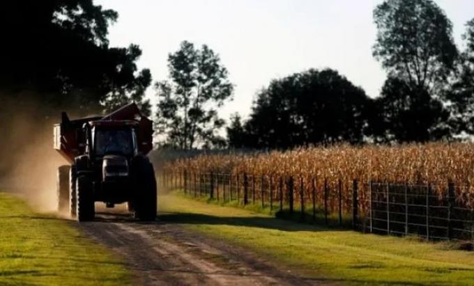 Granos: qué se espera para las próximas cinco campañas agrícolas