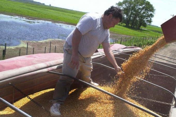 Opinión: representación, intereses y asimetrías en las cadenas de producción agrícola