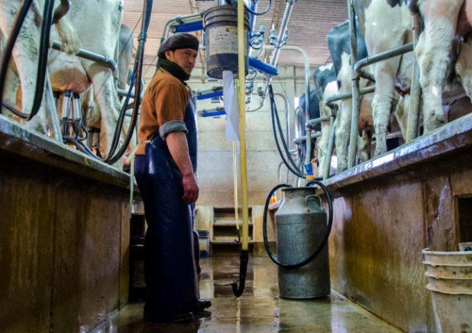 Entre Ríos: lanzan créditos especiales para maximizar y mejorar la producción tambera