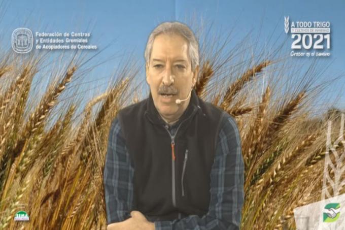 Trigo: decidir con foco en el agua a la siembra y las variedades