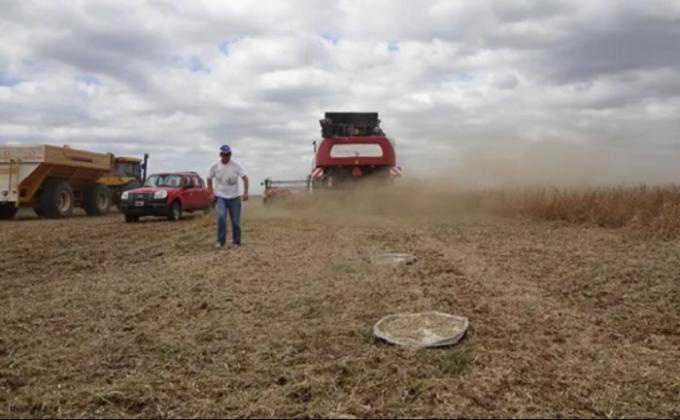 Soja: 7 marcas de cosechadoras presentarán pruebas a campo para reducir pérdidas de hasta 142 kg/ha