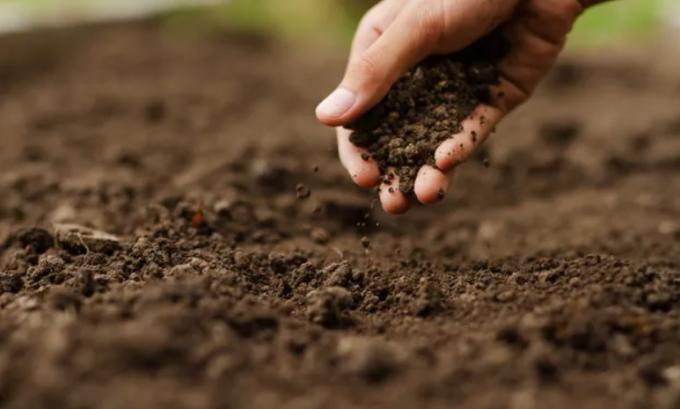 Es ahora: qué senderos tiene que “corregir” el agro para atender a los desafíos globales