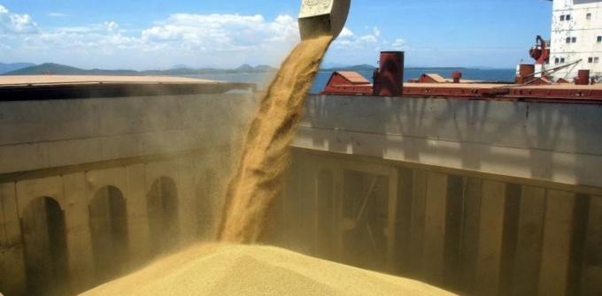 El mercado le impuso una pausa a la escalada de los precios del maíz, la soja y el trigo en Chicago