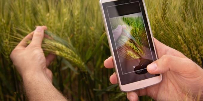 ¿Habrá tecnología 5G para el agro argentino? Los tres capítulos a resolver: marco regulatorio, macroeconomía y despliegue de infraestructura