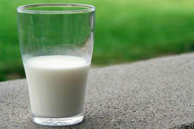 En el Día Mundial de la Leche, por qué se celebra hoy y un balance argentino