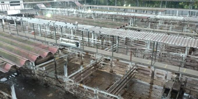 ¿Qué impacto tuvo el paro ganadero en la comercialización de hacienda? Ya salieron las cifras oficiales para responder esa pregunta