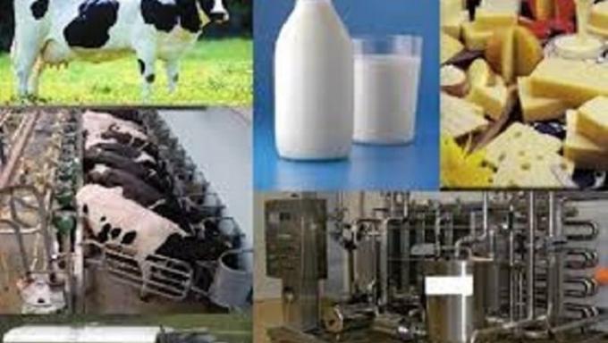 Pese a los pronósticos, el precio de los alimentos seguiría con aumentos