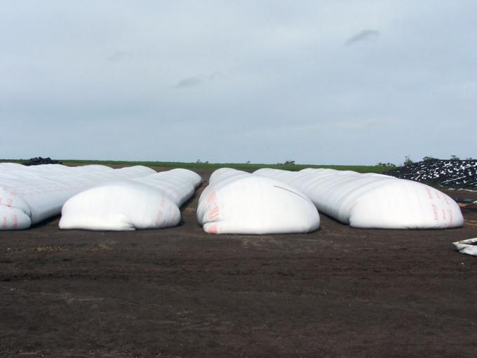 Desarrollan silo bolsa con antenas