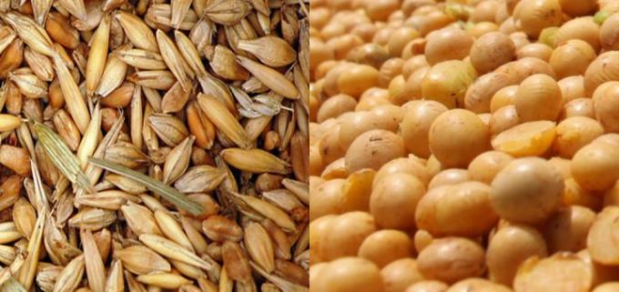 En la campaña 2020/21, la rentabilidad de la soja compensó la pérdida en trigo