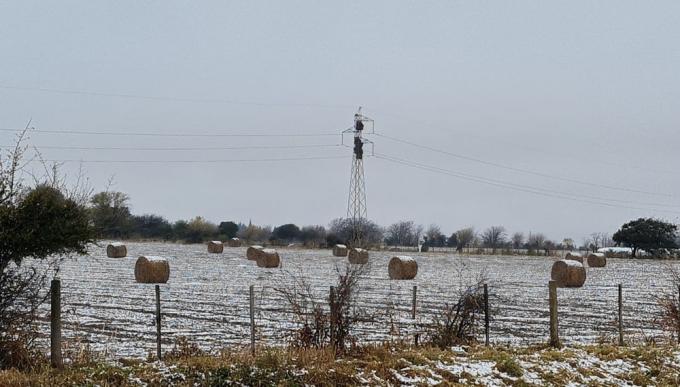 La ola polar pintó de blanco nieve localidades bonaerenses y del sur santafesino