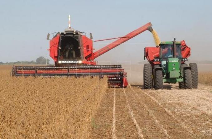 Efecto sequía: concluyó la cosecha de soja con una caída del 10%