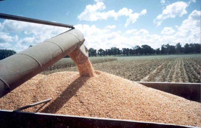 La agroindustria crece en su participación sobre el total de exportaciones
