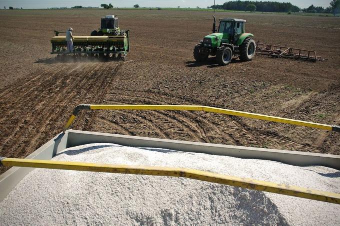Hay una alta heterogeneidad en los precios de los insumos agrícolas