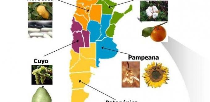 El problema de las economías regionales es la falta de tecnología