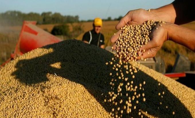 ¿En pesos o en dólares? Cómo financiarse en el agro