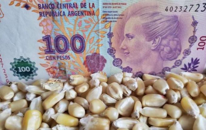 Qué hacer con los pesos en las empresas del campo