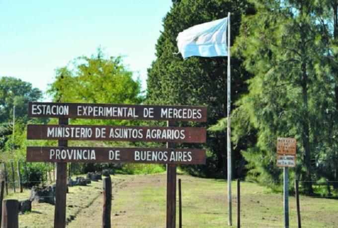 Buenos Aires tiene 14 chacras experimentales repartidas por toda la provincia: ¿Qué función cumplen?