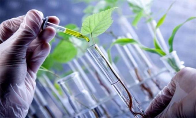 En qué consiste el programa de Bioinsumos creado por el gobierno