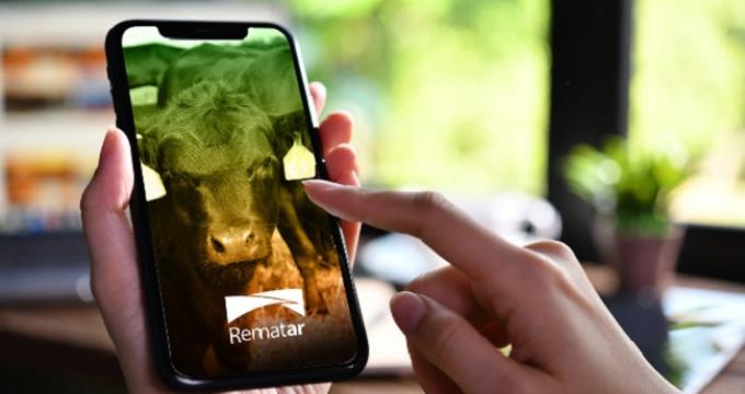 Con demanda sostenida, se realizaron dos nuevas subastas del Rosgan en Rematar