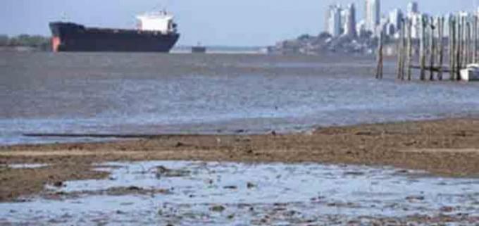 La bajante del Paraná presiona a la baja el precio FOB del maíz y la soja