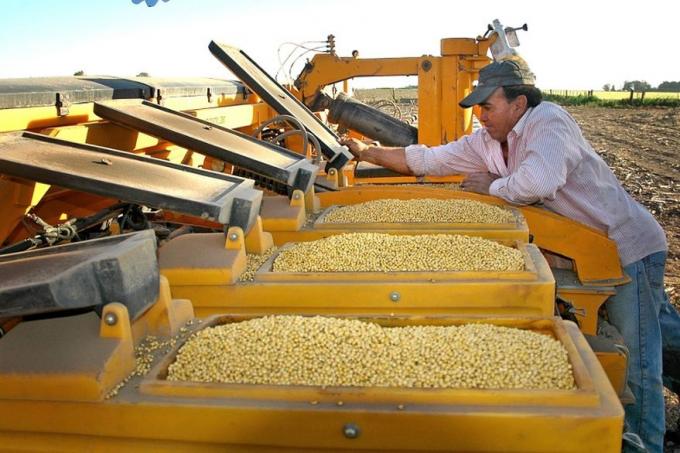 Estiman que no ingresan más de US$3300 millones por no reconocerse la propiedad intelectual en la soja 