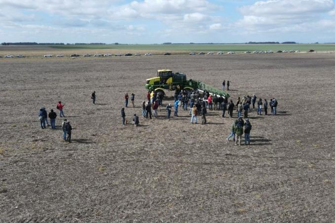 Malezas: de qué se trata el gran golpe