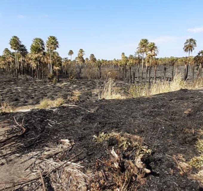 En el agro de Santa Fe alertan por una ola de incendios intencionales